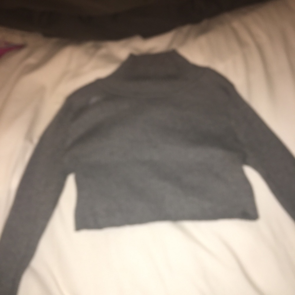 Long neck long sleeve crop top